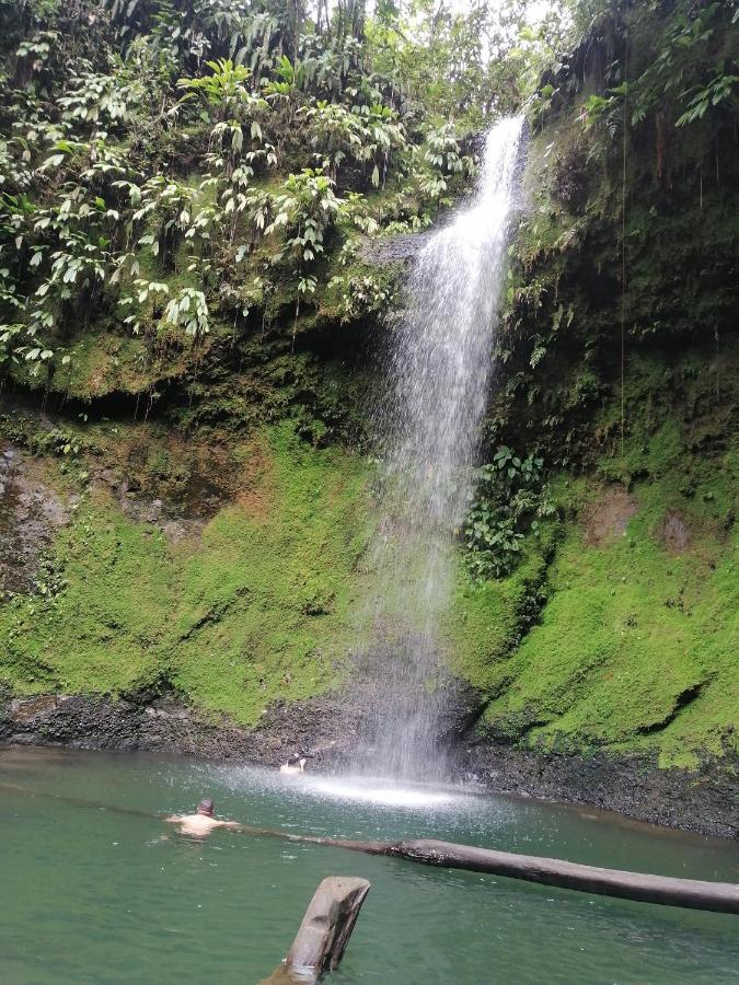 Casa Hospedaje Mayesty Hotel San Cipriano ภายนอก รูปภาพ